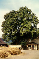 Der Henriettenhof