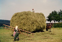 Heuwagen