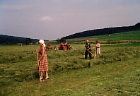 Heuwender